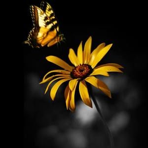 Meet your Posher, Keri